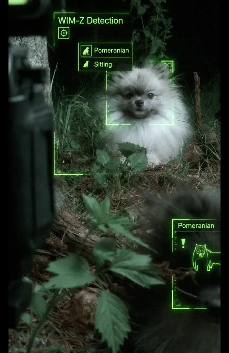 WIM-Z night-vision view of Pomeranians outdoors at night, each framed by a detection box labelled Pomeranian and Sitting
