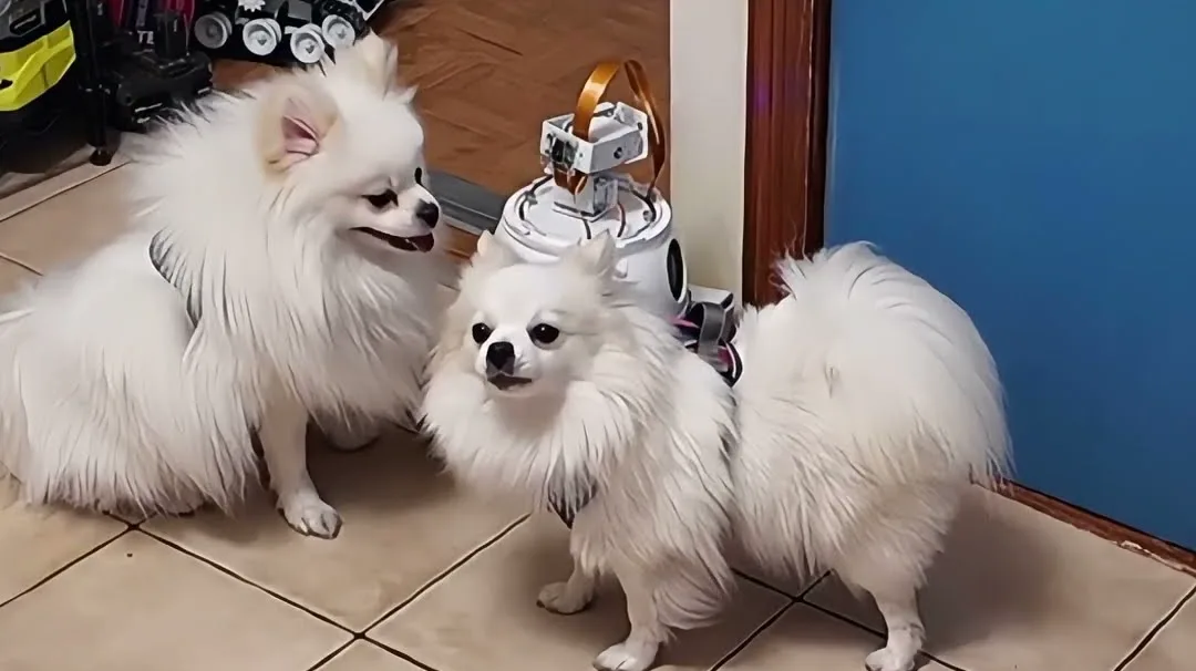 Day 1 vs Day 10